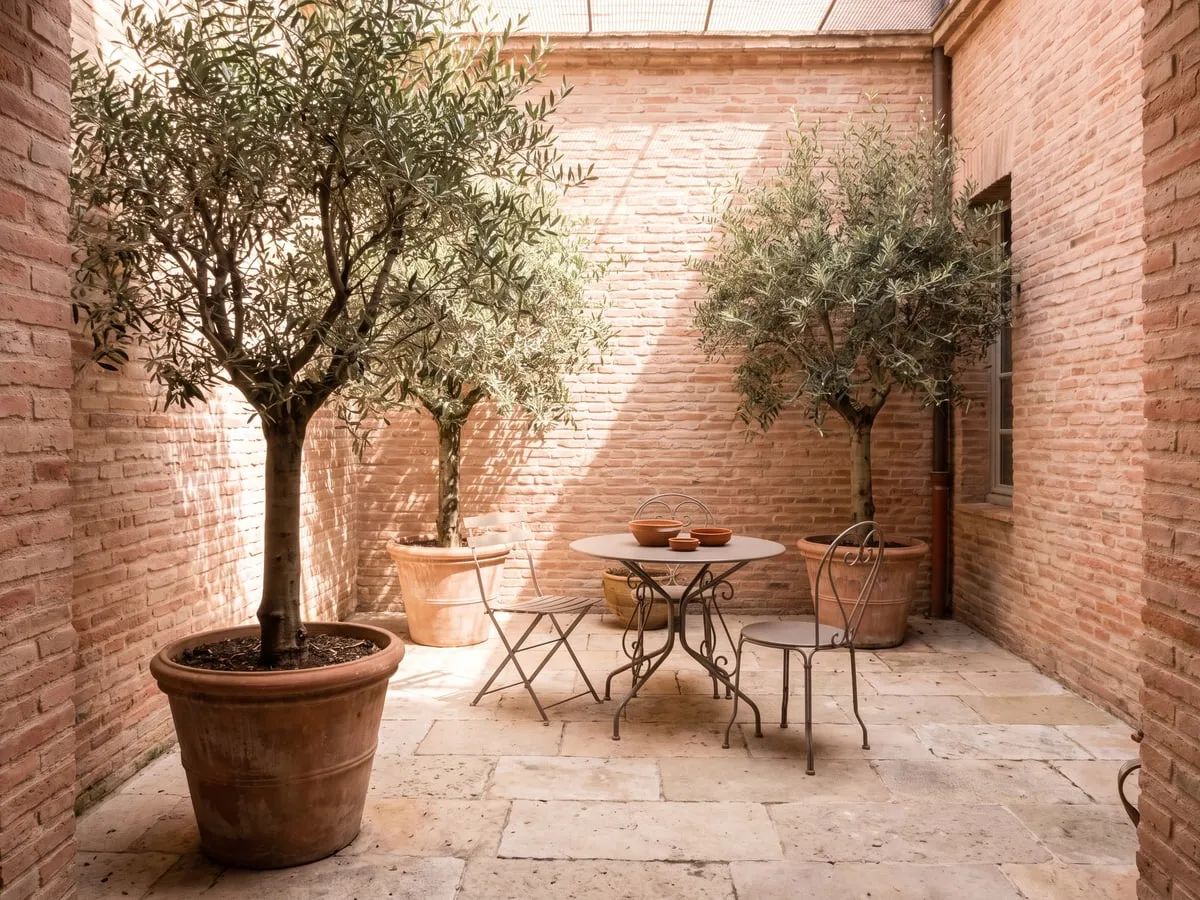 Patio de maison de ville avec murs en brique, sol en pierre claire et oliviers en pot