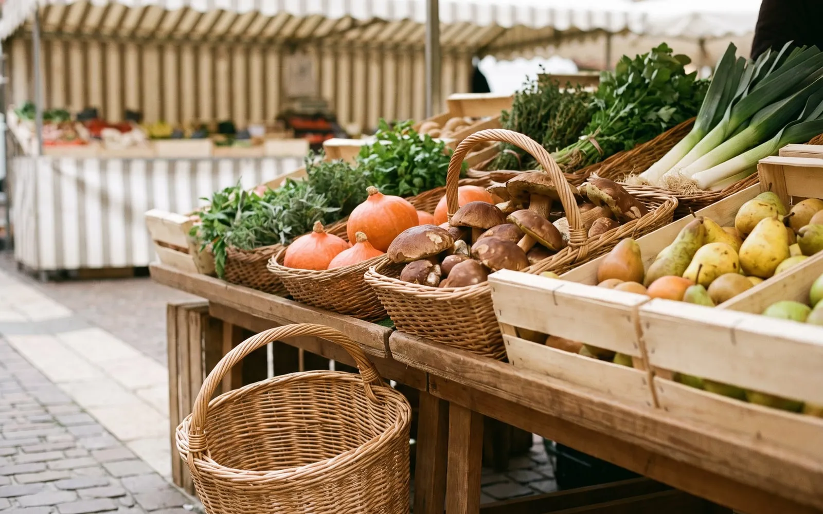 L’étal du marché au petit matin : cèpes, potimarrons, poires et bottes d’herbes, cagettes en bois